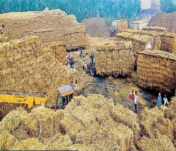 biomass based power plant