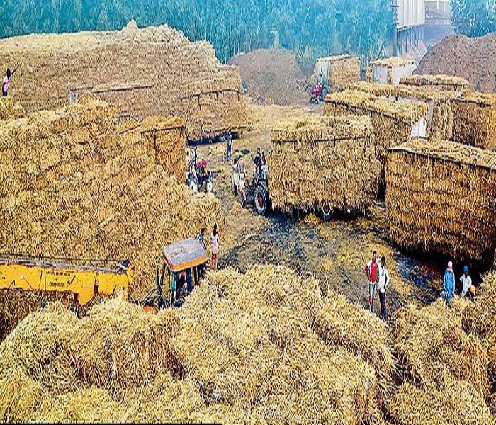 ਪਰਾਲੀ ਨੂੰ ਸਾੜਨ ਦੀ ਥਾਂ ਬਾਇਓਮਾਸ ਬੇਸਡ ਪਾਵਰ ਪਲਾਂਟ ਨੂੰ ਦੇਣ ਨਾਲ ਮਿਲੇਗਾ ਸਮੋਗ ਤੋਂ ਛੁਟਕਾਰਾ