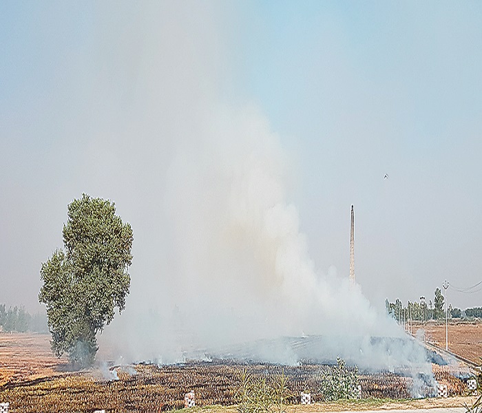 ਪਰਾਲੀ ਨੂੰ ਨਾ ਸਾੜਨ ਦੀਆਂ ਸਾਰੀਆਂ ਦਲੀਲਾਂ ਬੇਅਸਰ