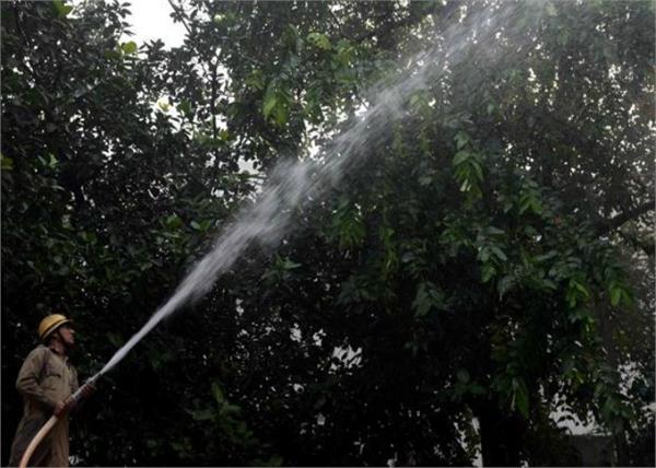 spraying of trees on trees to prevent pollution