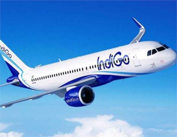 indigo flight  passengers  deaths