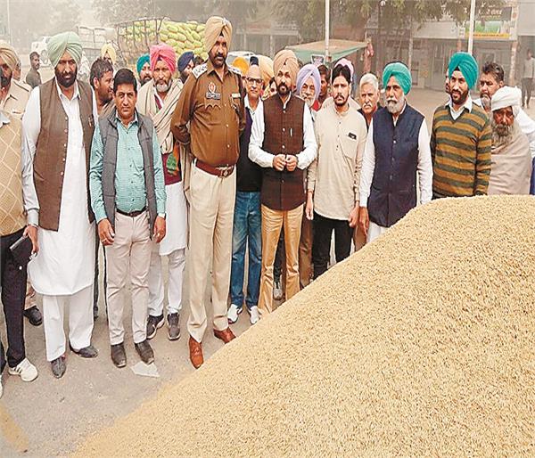 assess the malout  s grain market