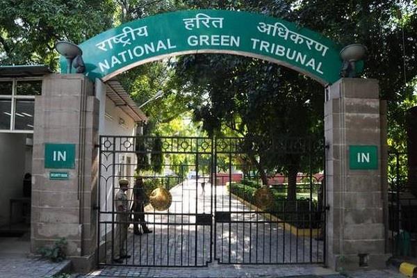 forest fire 5 lakh fine