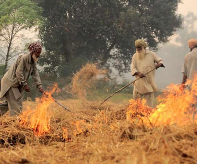 ਪਰਾਲੀ ਸਾੜ੍ਹਣ ਮਾਮਲੇ 'ਤੇ 6 ਦਸੰਬਰ ਨੂੰ ਹੋਵੇਗੀ ਅਗਲੀ ਸੁਣਵਾਈ