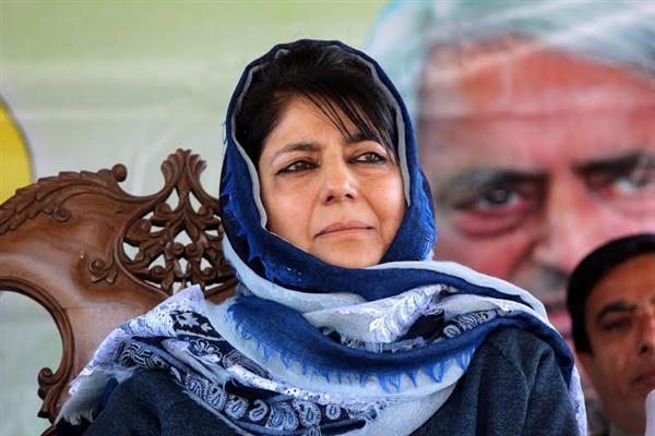 panchayat elections  local bodies  elections  mehbooba