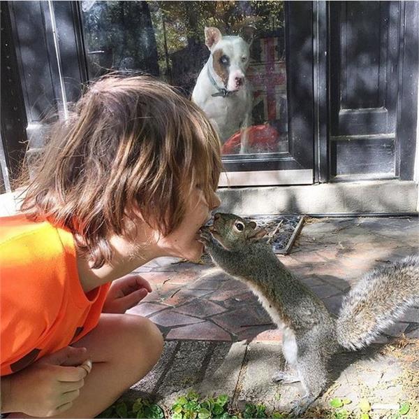 squirrel meet this family will reach every day from 8 years
