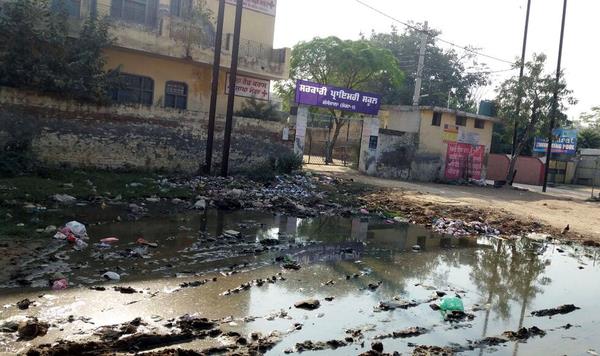 opening of the filth of contaminated public schools    pole  