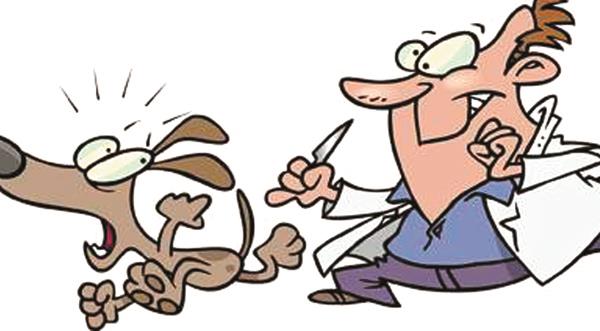 municipal corporation