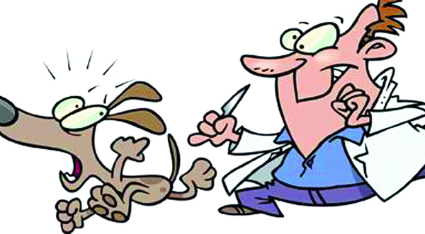 ਕੰਗਾਲੀ ''ਚ ਨਿਗਮ ਦਾ ਆਟਾ ਗਿੱਲਾ 185 ਰੁਪਏ ਮਹਿੰਗੀ ਹੋਈ ਆਵਾਰਾ ਕੁੱਤਿਆਂ ਦੀ ਨਸਬੰਦੀ