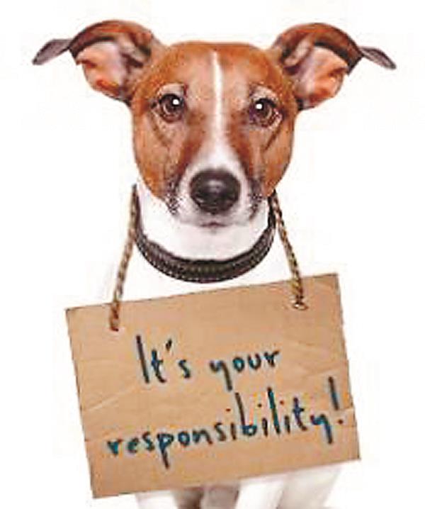 municipal corporation