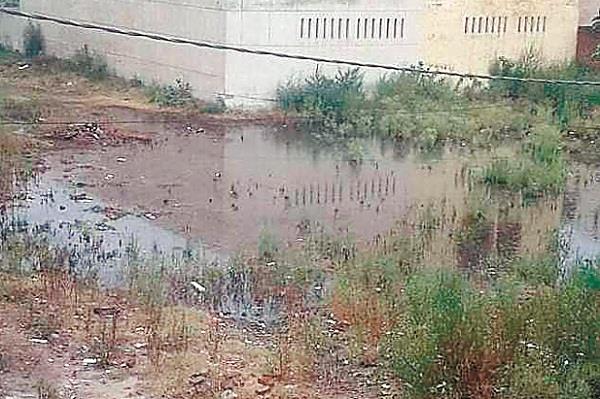 affordable land limits will be given in empty plots