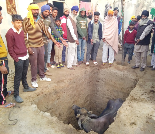 ਫਲੱਸ਼ਾਂ ਲਈ ਪੁੱਟੇ ਟੋਏ ਲੋਕਾਂ ਲਈ ਬਣੇ ਮੁਸੀਬਤ