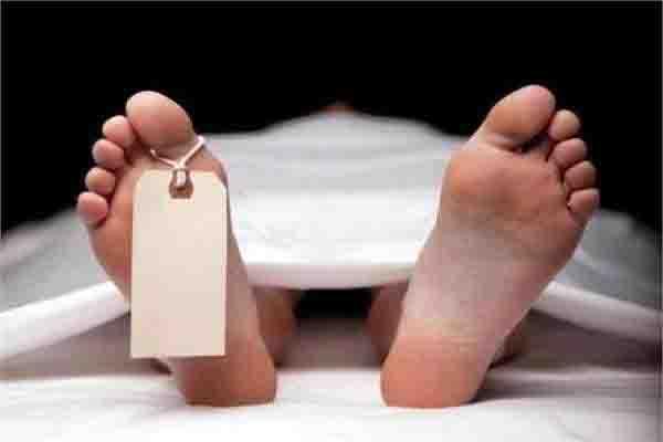 carousel  s life for speeding car