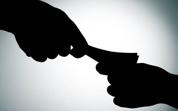 why does not the vigilance bureau shake up on big crocodiles