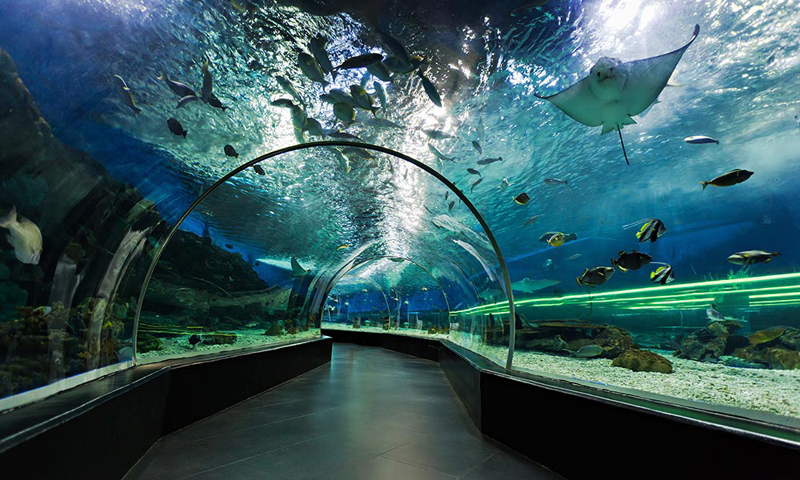 ਜਲੰਧਰ ਸ਼ਹਿਰ ਦੀ ਬਦਕਿਸਮਤੀ : ਸਿਰੇ ਹੀ ਨਹੀਂ ਚੜ੍ਹ ਸਕੇ ਕਈ ਪ੍ਰਾਜੈਕਟ