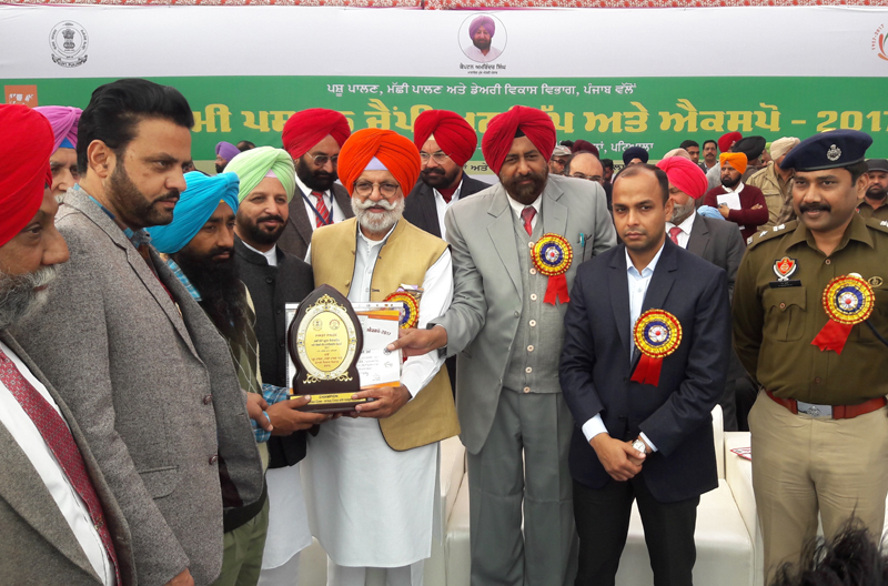 ਪਸ਼ੂ-ਧਨ ਨੂੰ ਹੋਰ ਪ੍ਰਫੁੱਲਿਤ ਕਰੇਗੀ ਕਾਂਗਰਸ ਸਰਕਾਰ : ਰਾਣਾ