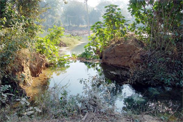 5 acres of gaushala crop destroyed