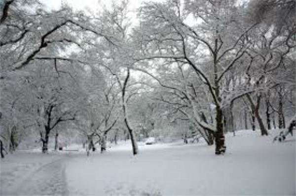 himachal  snowfall