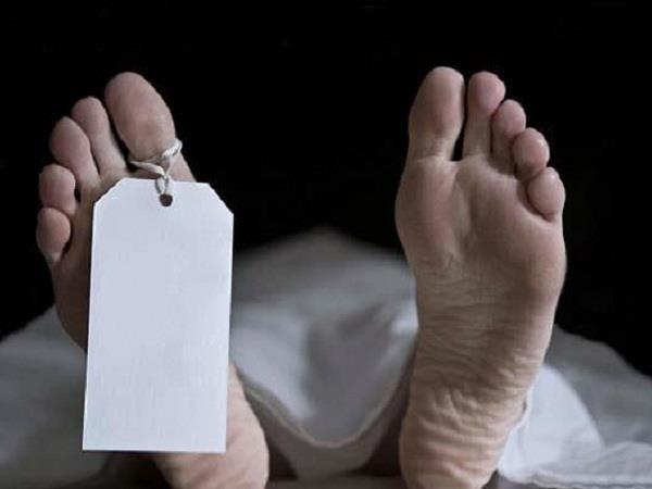 swimmers found in the chenab river