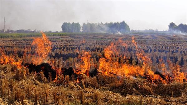 government plans to construct 2000 crores plan for paddy straw burning