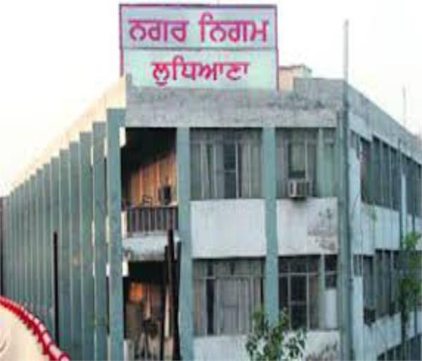 municipal elections  government