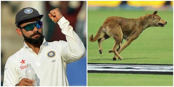 when the dog went on the field before the match between india sri lanka