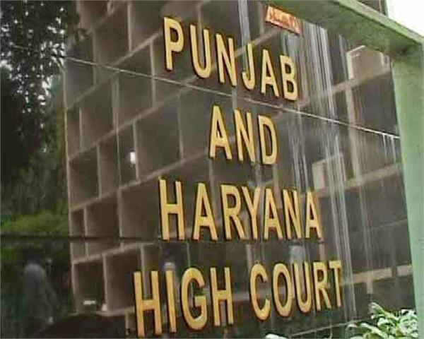 punjab haryana high court