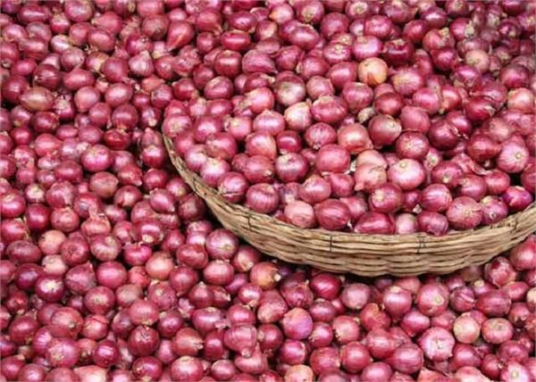 stock limit on onion will remain till march 31 