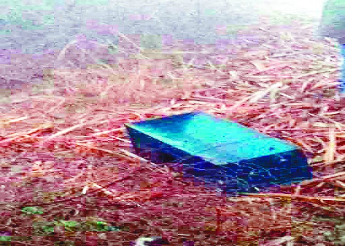 ਗੁਰਦੁਆਰੇ ਦੀ ਗੋਲਕ ''ਤੇ ਚੋਰਾਂ ਨੇ ਕੀਤਾ ਹੱਥ ਸਾਫ