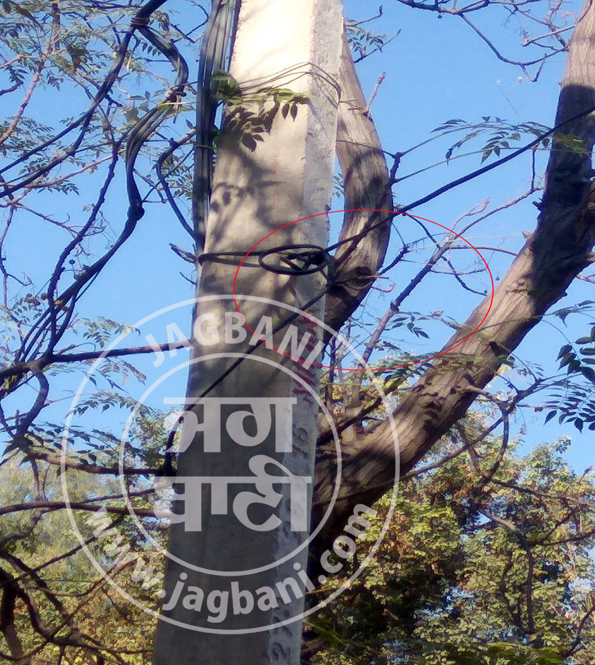 ਗਿੱਦੜਬਾਹਾ : ਐੱਸ.ਡੀ.ਐੱਮ. ਦੀ ਰਿਹਾਇਸ਼ ''ਤੇ ਇਨਫੋਰਸਮੈਂਟ ਦੀ ਟੀਮ ਦਾ ਛਾਪਾ, ਫੜਿਆ ਗਿਆ ਕੁੰਡੀ ਕੁਨੈਕਸ਼ਨ