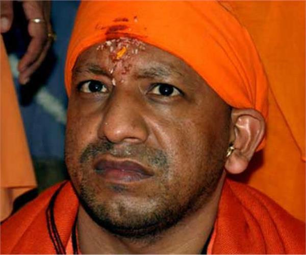 yogi  pornographic photo