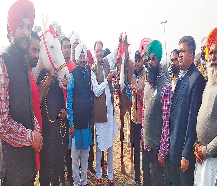 ਕੈਪਟਨ ਸਰਕਾਰ ਪੰਜਾਬ ਨੂੰ ਪਸ਼ੂ-ਧਨ ਪੱਖੋਂ ਦੇਸ਼ ਦਾ ਮੋਹਰੀ ਸੂਬਾ ਬਣਾਏਗੀ : ਧਰਮਸੌਤ