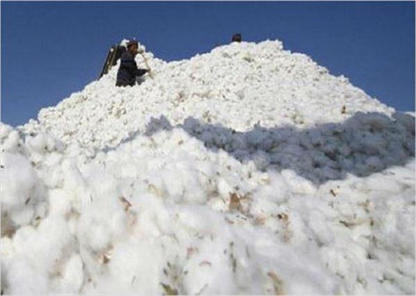 capa production in 2017 18 estimated to be 375 lakh bales