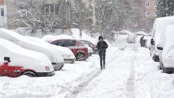 calgary residents tailored to celebrate white christmas