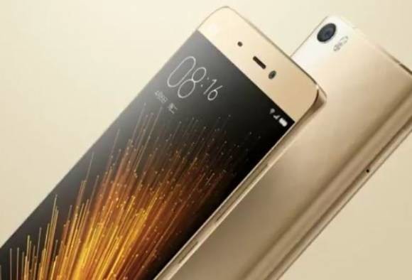 siomi earnings record of  1 billion in india