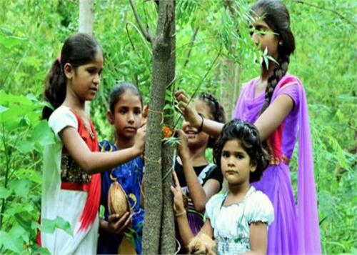 trees are the people of this village put on the birth of daughter