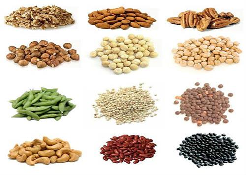 protein diet for vegetarians