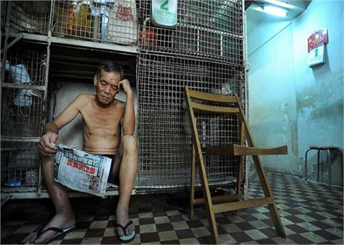 here people live in a cage  know why