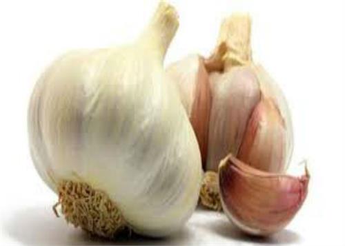 there may be many harmful disadvantages of using garlic in these diseases