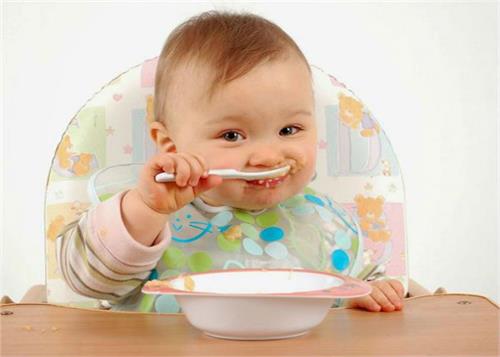 feed a 10 month old baby this healthy diet