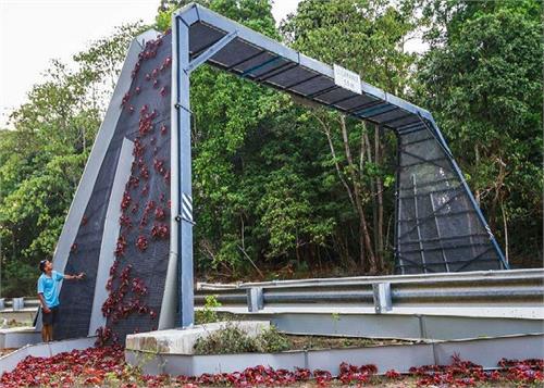 these bridges are built for animal protection see pictures