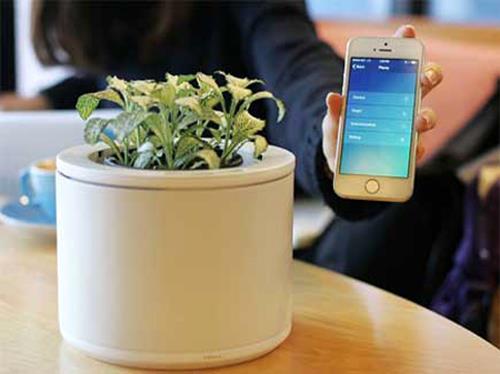 smart home gadgets for plants