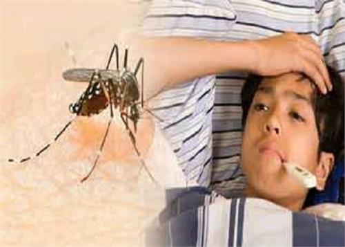 dengue fever is very useful when the cells are low these prescriptions