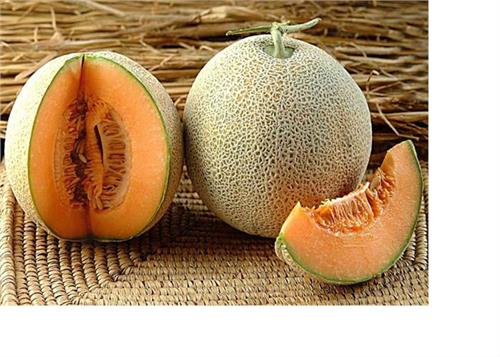 these are the benefits of delicious melon
