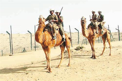 the lack of camel bsf threatening bell for home ministry