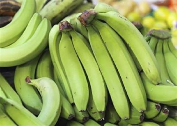 the raw bananas contain gaining advantages