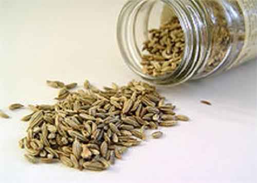 home doctor is a fennel