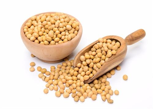 learn about the benefits of eating soybeans