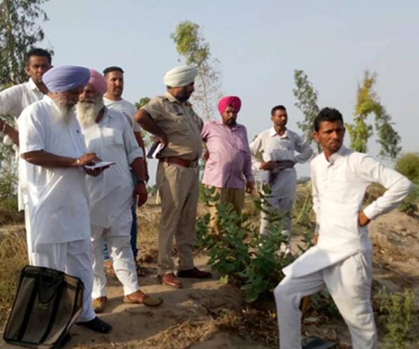 punjab haryana highcourt