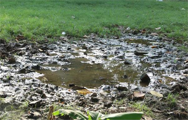 increased heat and illness due to increased pollution